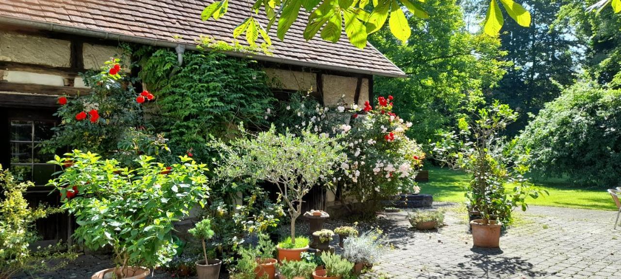 Villaflora Gaestehaus Riedlingen Luaran gambar